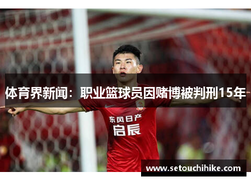 体育界新闻：职业篮球员因赌博被判刑15年